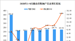2020年9月湖南省粗钢产量数据统计分析