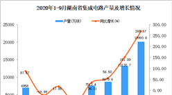 2020年9月湖南省集成电路产量数据统计分析