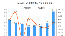 2020年9月湖南省铝材产量数据统计分析