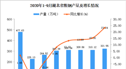 2020年9月湖北省粗钢产量数据统计分析