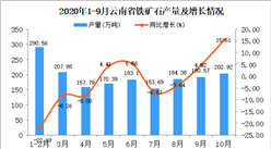 2020年10月云南省铁矿石产量数据统计分析
