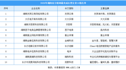 2020年湖南省互聯網最具成長企業10強排行榜