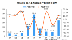 2020年10月山東省原鹽數據統計分析