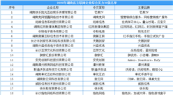 2020湖南省互联网综合实力30强企业排行榜（附榜单）