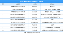 2020年湖南省互聯網創新型企業10強排行榜