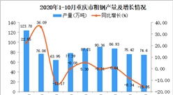 2020年10月重庆市粗钢产量数据统计分析
