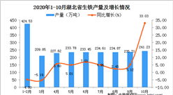 2020年10月湖北省生鐵產量數據統計分析