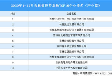产业地产投资情报:2020年1-11月吉林省投资拿地TOP10企业排名(产业篇)