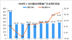 2020年10月湖南省粗鋼產量數據統計分析