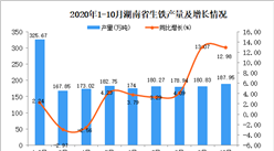 2020年10月湖南省生鐵產量數據統計分析