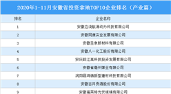 產業地產投資情報：2020年1-11月安徽省投資拿地TOP10企業排名（產業篇）