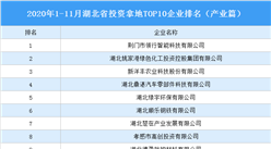 產業地產投資情報：2020年1-11月湖北省投資拿地TOP10企業排名（產業篇）