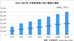 2021年中国专用网络服务行业市场现状及发展前景分析（图）