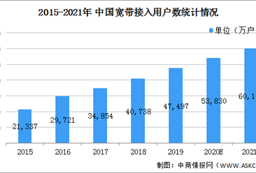 2021年中国专用网络服务行业市场现状及发展前景分析（图）