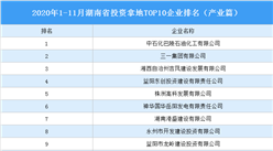 產業地產投資情報：2020年1-11月湖南省投資拿地TOP10企業排名（產業篇）