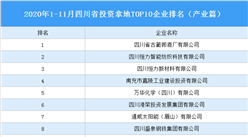 產業地產投資情報：2020年1-11月四川省投資拿地TOP10企業排名（產業篇）