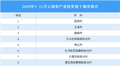 2020年1-11月云南省产业投资前十城市排名（产业篇）