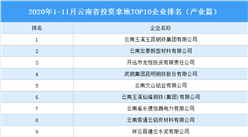 產業地產投資情報：2020年1-11月云南省投資拿地TOP10企業排名（產業篇）
