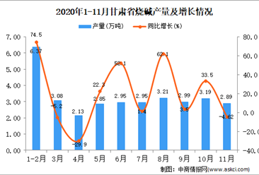 2020年11月甘肃省烧碱产量数据统计分析