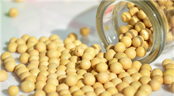 2021年2月國內外大豆市場價格走勢及供需形勢分析：大豆價格繼續上漲