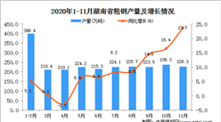 2020年11月湖南省粗钢产量数据统计分析