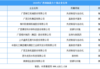 2020年广西高新技术企业创新能力10强排行榜