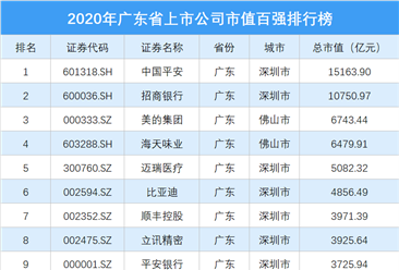 2020年广东省上市公司市值百强排行榜