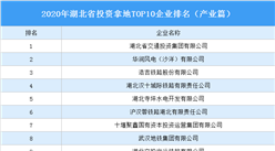 產業地產投資情報：2020年湖北省投資拿地TOP10企業排名（產業篇）