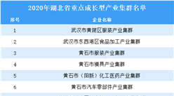 2020年湖北省重點成長型產(chǎn)業(yè)集群名單（附名單）