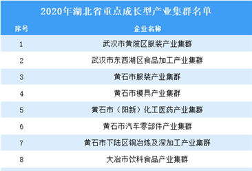 2020年湖北省重點成長型產業集群名單（附名單）