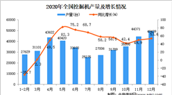 2020年中国挖掘机产量数据统计分析