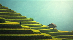 推动中部地区崛起！“十四五”时期中部六省农业发展思路分析（附图表）