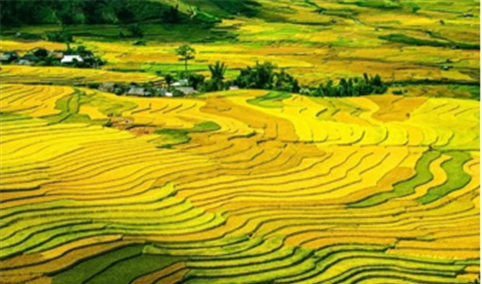 探索农业区域一体化发展新模式  长三角地区“十四五”农业发展思路分析（图）