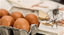 2021年3月禽蛋市場供需形勢及價格走勢預測：雞蛋價格月內持續下跌
