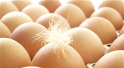 2021年4月禽蛋市場供需及價格走勢預測分析：雞蛋價格連續2個月下跌