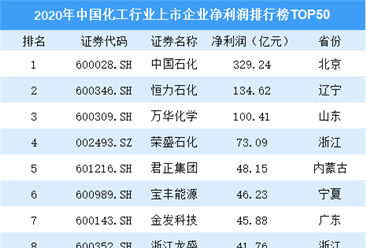 2020年中国化工行业上市企业净利润排行榜TOP50