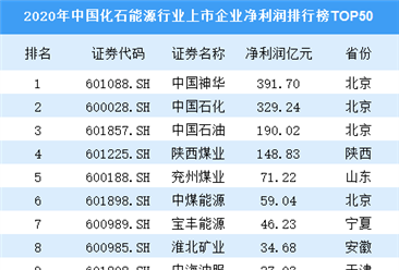 2020年中国化石能源行业上市企业净利润排行榜TOP50