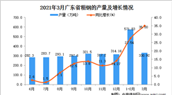 2021年3月广东省粗钢产量数据统计分析