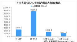 广东省第七次人口普查数据：劳动力人口8669.8万人 人口老龄化加快（图）