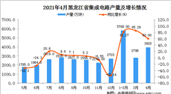 2021年4月黑龍江省集成電路產量數據統計分析