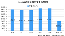 2021年中国焦炭行业区域分布现状分析：山西占比22.3%（图）