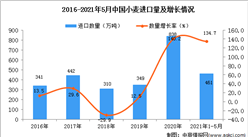 2021年1-5月中国小麦进口数据统计分析