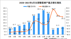 2021年5月中国葡萄酒产量数据统计分析