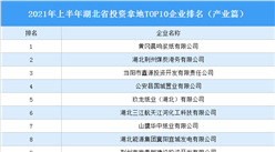 产业地产投资情报：2021年上半年湖北省投资拿地TOP10企业排名（产业篇）