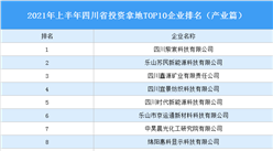 產業地產投資情報：2021年上半年四川省投資拿地TOP10企業排名（產業篇）