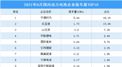 2021年6月中國動力電池企業裝車量情況：寧德時代裝車量占比49.1%（圖）