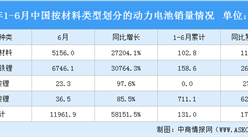 2021年1-6月中国动力电池销量情况：磷酸铁锂电池销售同比增长260%（图）