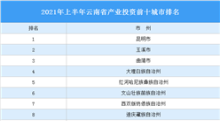2021年上半年云南省產業投資前十城市排名（產業篇）