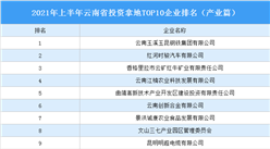 產業地產投資情報：2021年上半年云南省投資拿地TOP10企業排名（產業篇）