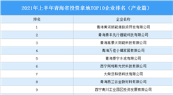 產業地產投資情報：2021年上半年青海省投資拿地TOP10企業排名（產業篇）